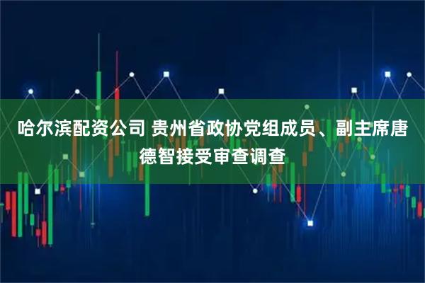 哈尔滨配资公司 贵州省政协党组成员、副主席唐德智接受审查调查