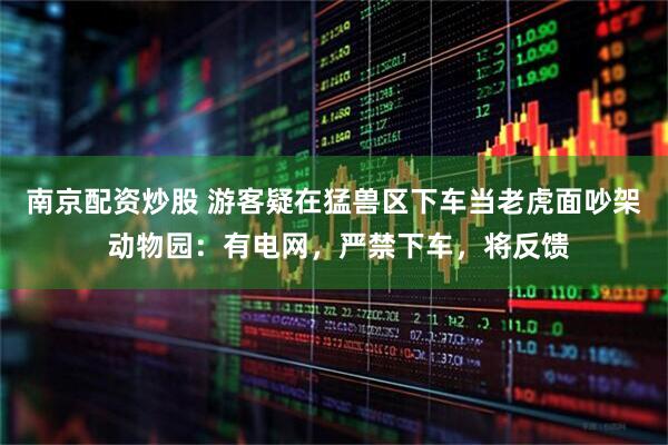 南京配资炒股 游客疑在猛兽区下车当老虎面吵架 动物园：有电网，严禁下车，将反馈