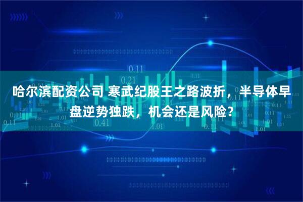 哈尔滨配资公司 寒武纪股王之路波折，半导体早盘逆势独跌，机会还是风险？