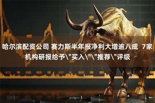 哈尔滨配资公司 赛力斯半年报净利大增逾八成  7家机构研报给予＂买入＂＂推荐＂评级