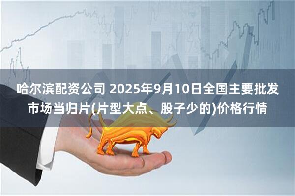 哈尔滨配资公司 2025年9月10日全国主要批发市场当归片(片型大点、股子少的)价格行情