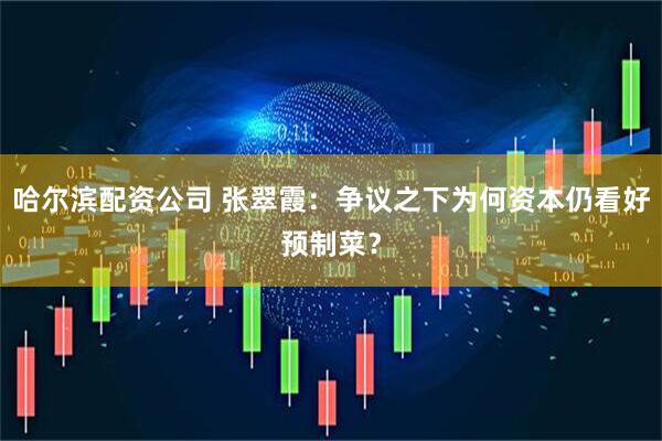 哈尔滨配资公司 张翠霞：争议之下为何资本仍看好预制菜？