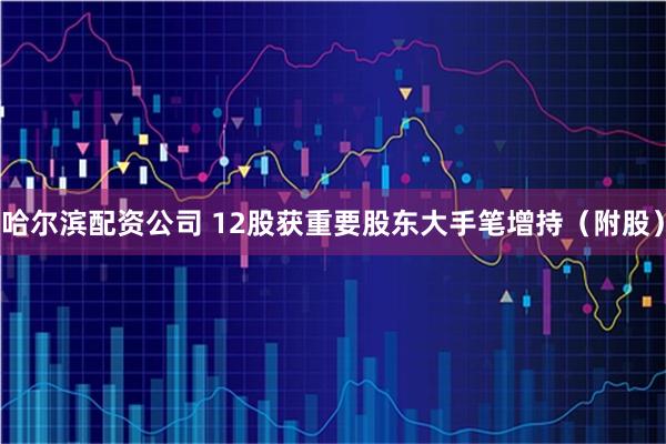 哈尔滨配资公司 12股获重要股东大手笔增持（附股）