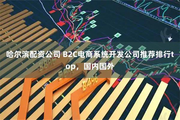 哈尔滨配资公司 B2C电商系统开发公司推荐排行top，国内国外