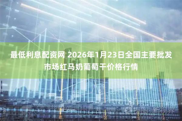 最低利息配资网 2026年1月23日全国主要批发市场红马奶葡萄干价格行情